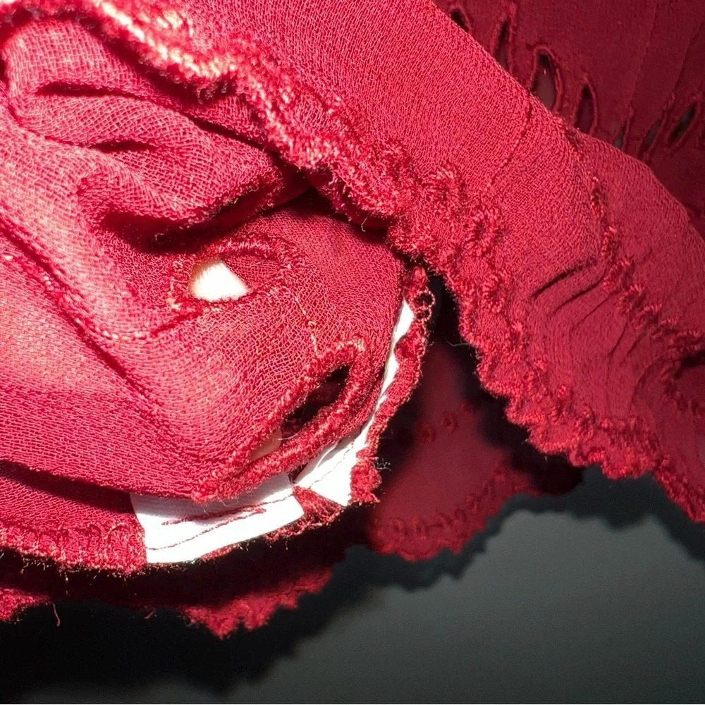 J. Crew Lace Eyelet Blouse Balloon Sleeve Burnt Red Size Medium